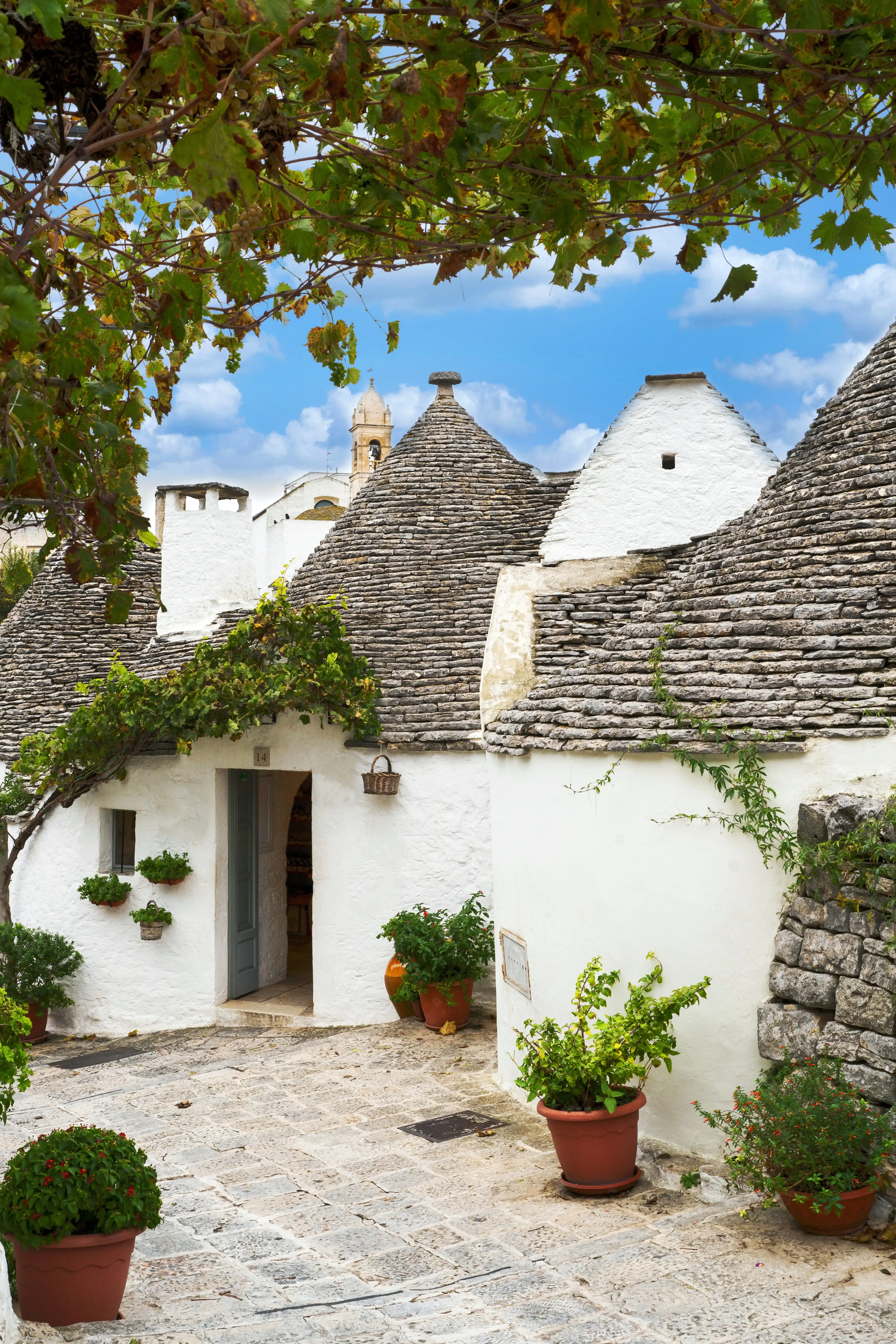 Alberobello 3